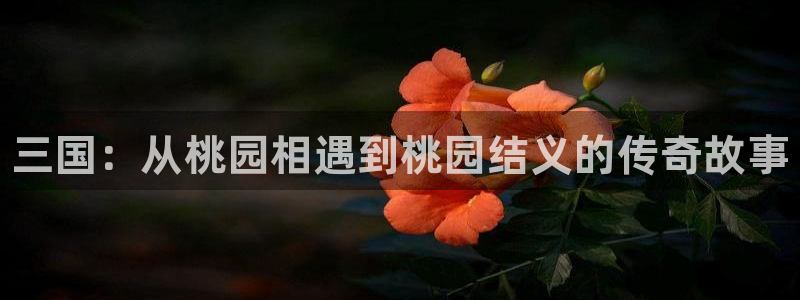 奇亿娱乐官网：三国：从桃园相遇到桃园结义的传奇故事
