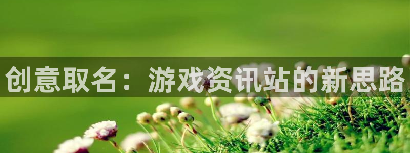 奇亿娱乐手机网页版登录：创意取名：游戏资讯站的新思路