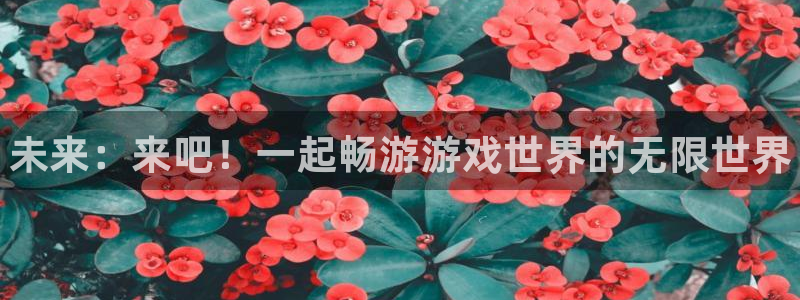 奇亿娱乐注册网站：未来：来吧！一起畅游游戏世界的无限世界