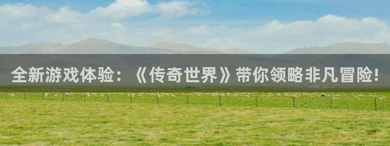 奇亿娱乐在线登录：全新游戏体验：《传奇世界》带你领略非凡冒险