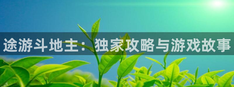 奇亿娱乐注册服务条款：途游斗地主：独家攻略与游戏故事