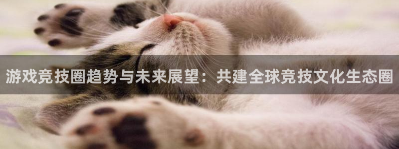 奇亿娱乐网页登录入口下载：游戏竞技圈趋势与未来展望：共建全球
