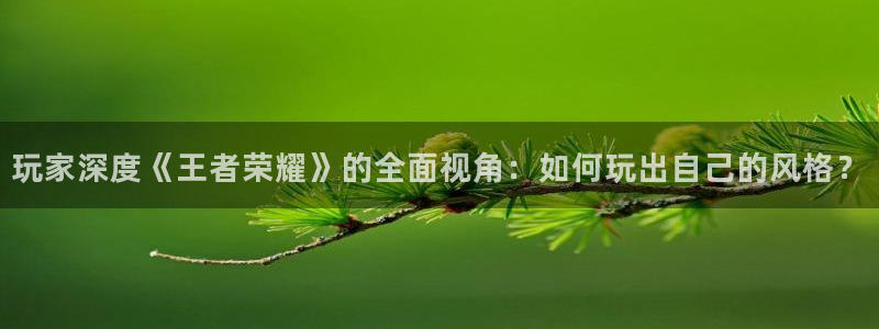 奇亿娱乐主管：玩家深度《王者荣耀》的全面视角：如何玩出自己的