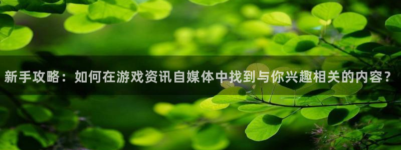 奇亿娱乐官方注册登录：新手攻略：如何在游戏资讯自媒体中找到与