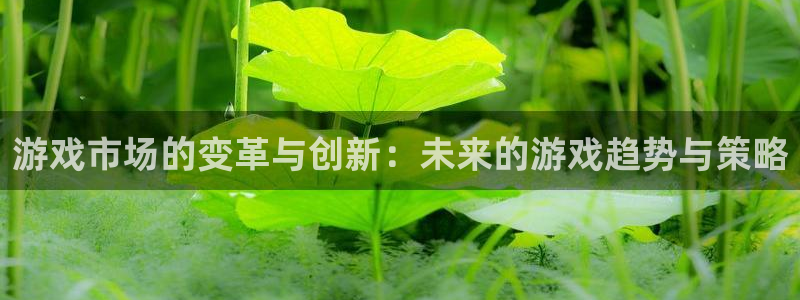 奇亿娱乐2首页登录：游戏市场的变革与创新：未来的游戏趋势与策