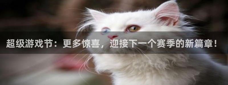 奇亿娱乐app