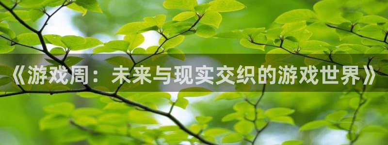 奇亿娱乐游戏：《游戏周：未来与现实交织的游戏世界》