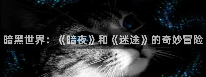 奇亿娱乐登录地址：暗黑世界：《暗夜》和《迷途》的奇妙冒险