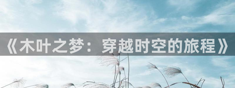 奇亿娱乐注册地址：《木叶之梦：穿越时空的旅程》