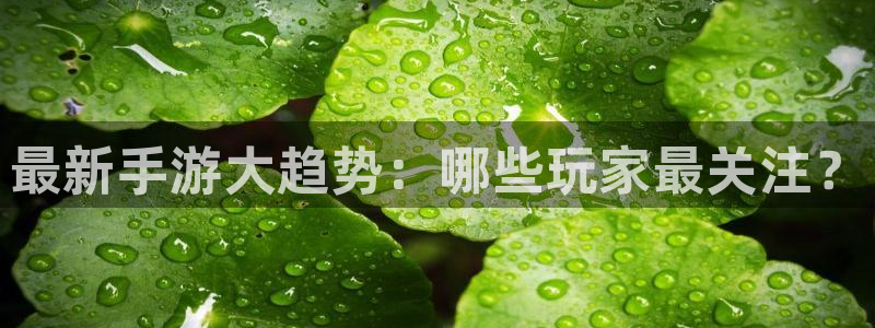 奇亿娱乐网页登录入口官网：最新手游大趋势：哪些玩家最关注？