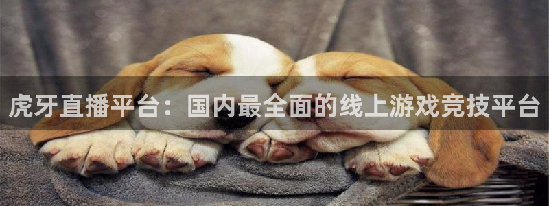 球神 直播：虎牙直播平台：国内最全面的线上游戏竞技平台