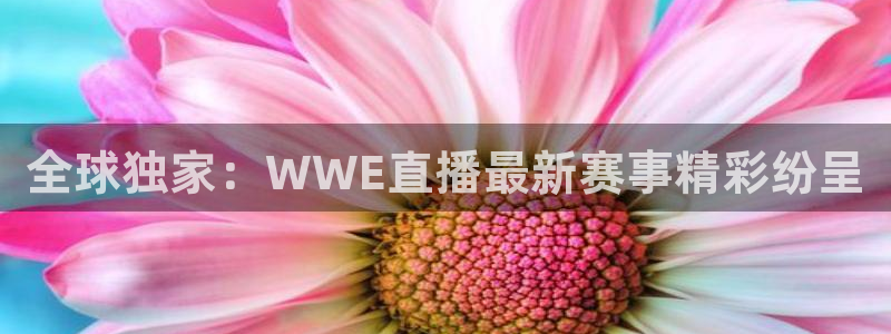 球神直播免费直播：全球独家：WWE直播最新赛事精彩纷呈