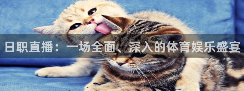 nba直播球神：日职直播：一场全面、深入的体育娱乐盛宴