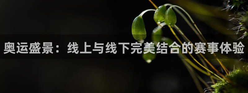 球神直播网免费直播在线观看：奥运盛景：线上与线下完美结合的赛事体验