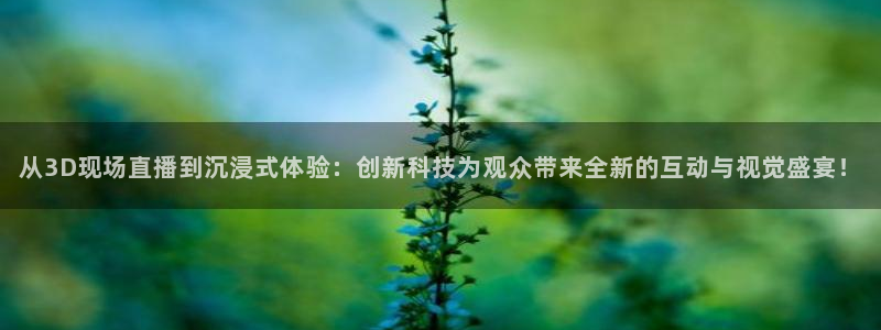 球神体育直播：从3D现场直播到沉浸式体验：创新科技为观众带来全新的互动与视觉盛宴！