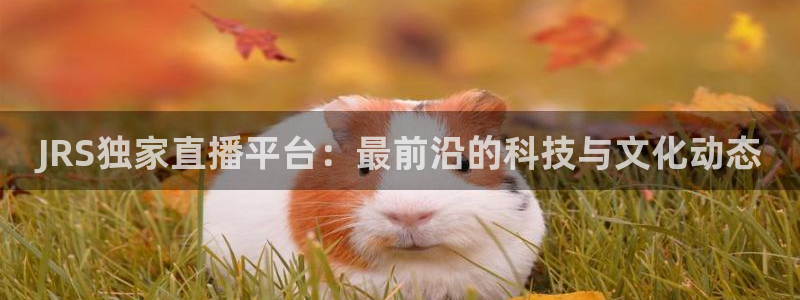 球神体育直播：JRS独家直播平台：最前沿的科技与文化动态