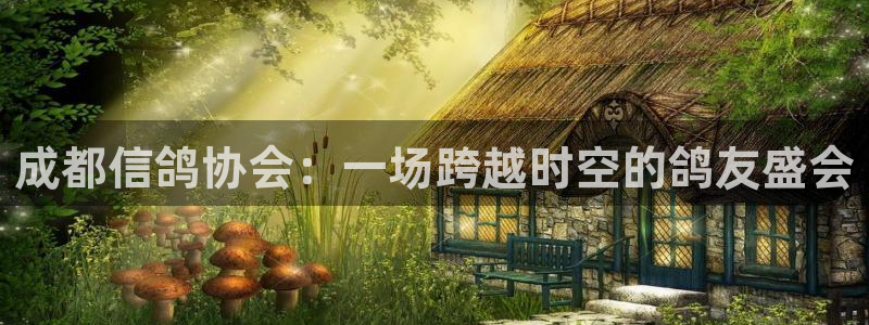 黑白直播免费高清看球神器：成都信鸽协会：一场跨越时空的鸽友盛会